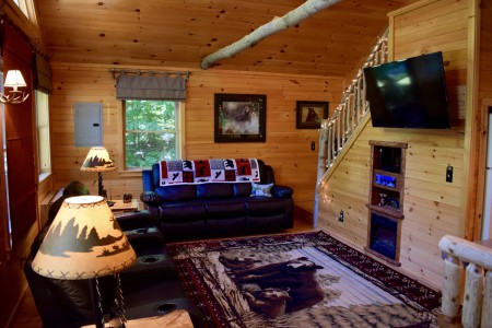 COZY CABIN IN OLD FORGE, NY