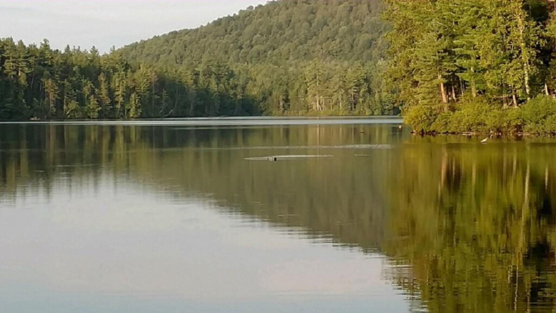 Loon Lake (0.2 mile walk from cabin)