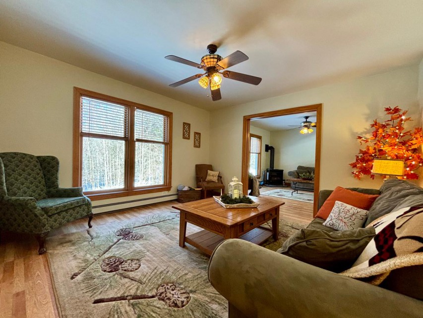 Living room (with a pull out sofa bed and pocket doors)