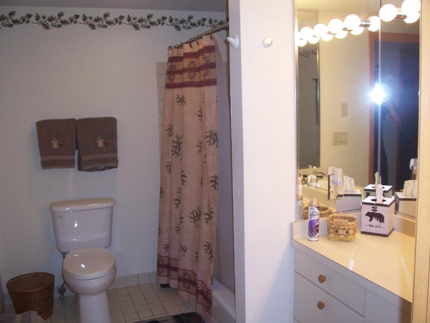 One of our two full bathrooms!