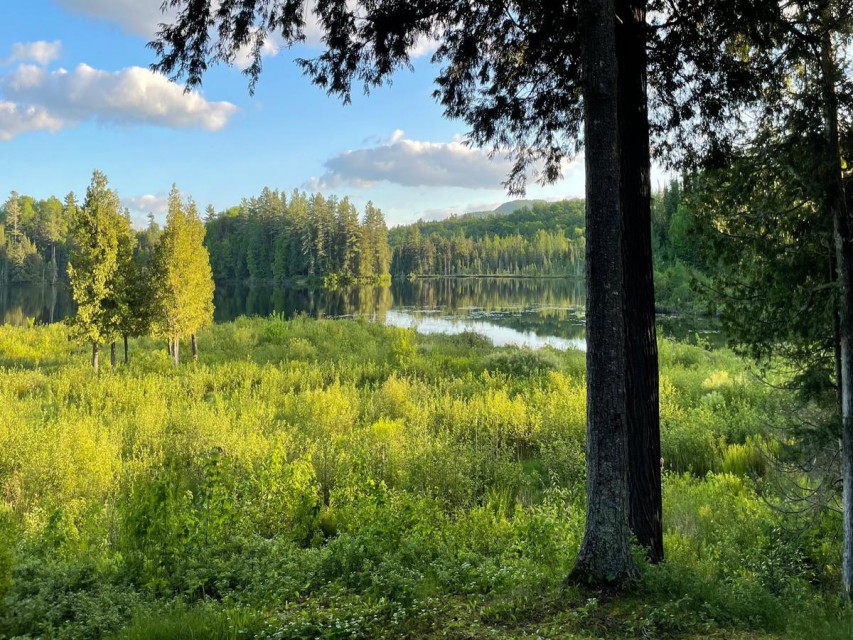 View of Horseshoe Pond from back deck