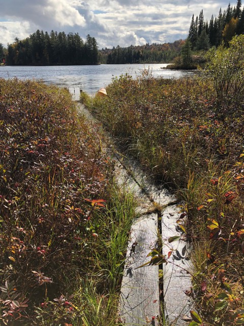 Boardwalk from cabin to Horseshoe Pond