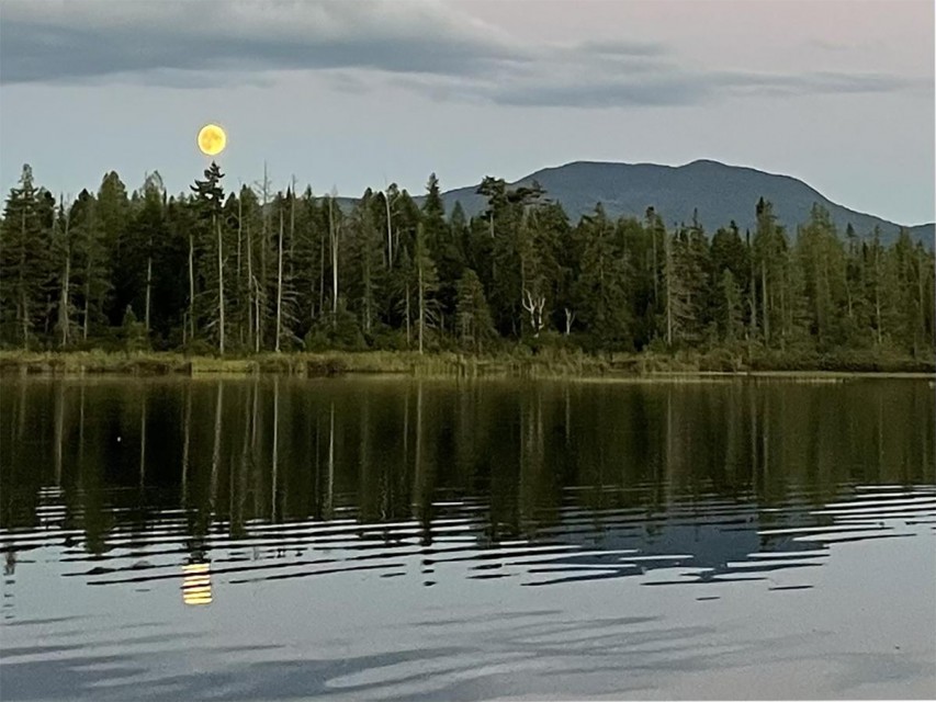 View of Debar Mountain from Deer River Flow