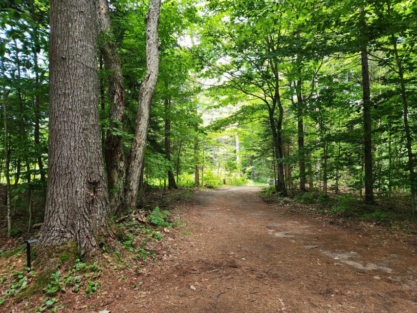 Long driveway, the cabin is tucked away from the Road