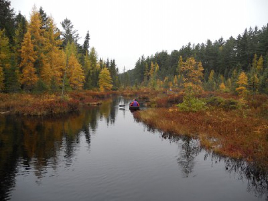 Exploring the St. Regis Wilderness Canoe Area.