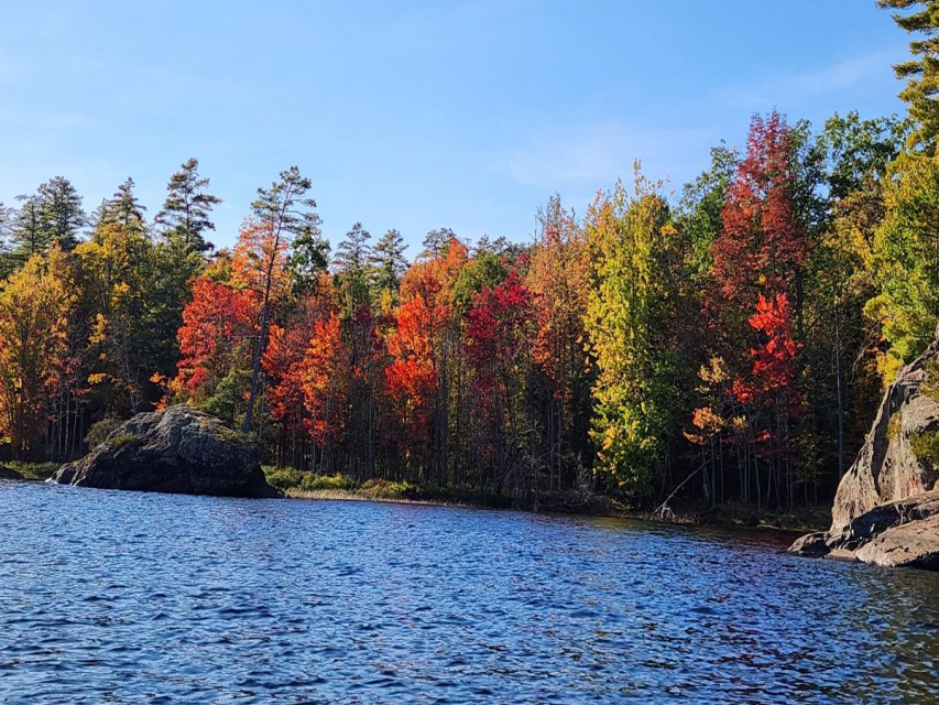 Fall colors along the shoreline