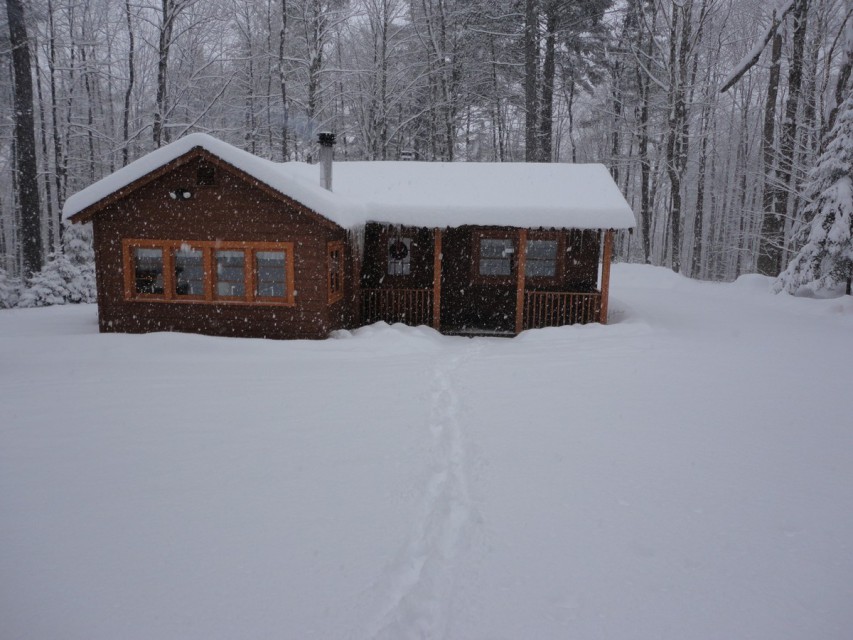 Cozy Cabin-real log cabin stay experience. Loft bed, woodsy decor