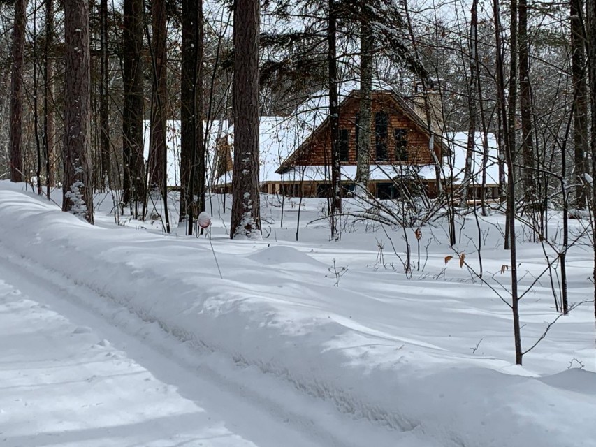 winter at the Cottage